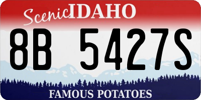 ID license plate 8B5427S