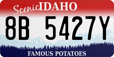 ID license plate 8B5427Y