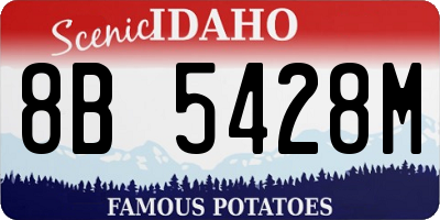 ID license plate 8B5428M
