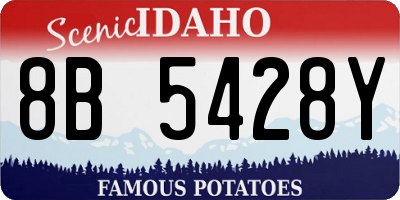 ID license plate 8B5428Y