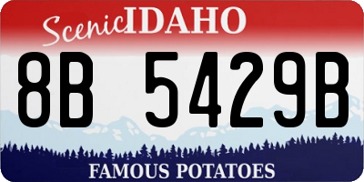 ID license plate 8B5429B