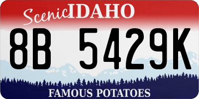 ID license plate 8B5429K