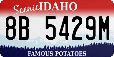ID license plate 8B5429M