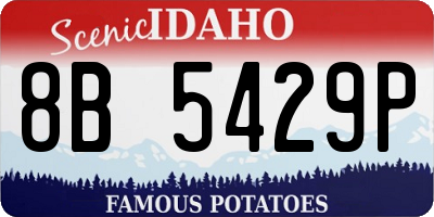 ID license plate 8B5429P