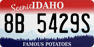 ID license plate 8B5429S