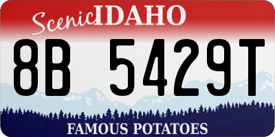ID license plate 8B5429T