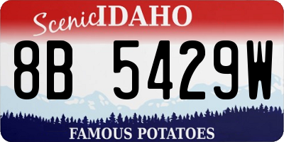 ID license plate 8B5429W