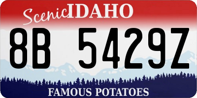 ID license plate 8B5429Z
