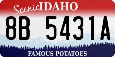 ID license plate 8B5431A