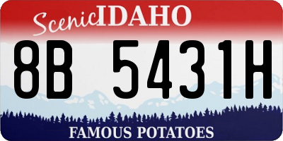ID license plate 8B5431H