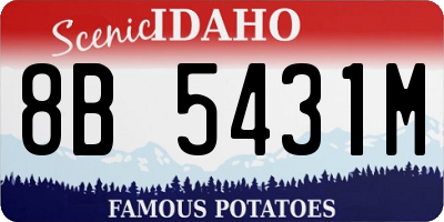 ID license plate 8B5431M