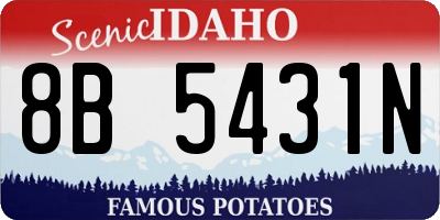 ID license plate 8B5431N