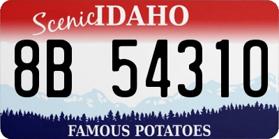 ID license plate 8B5431O