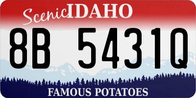 ID license plate 8B5431Q