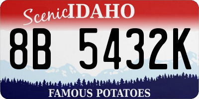 ID license plate 8B5432K