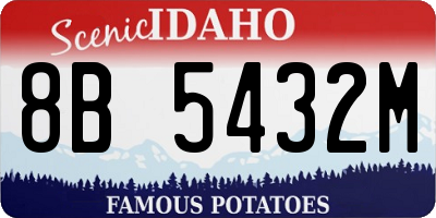 ID license plate 8B5432M