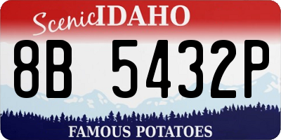 ID license plate 8B5432P