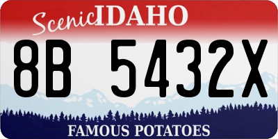 ID license plate 8B5432X