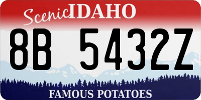 ID license plate 8B5432Z