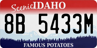 ID license plate 8B5433M