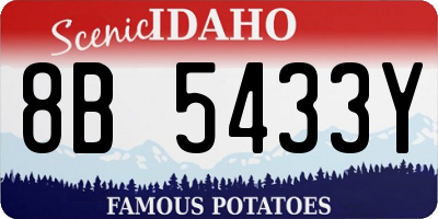 ID license plate 8B5433Y