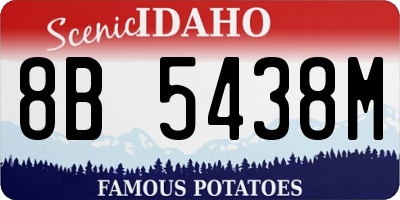 ID license plate 8B5438M