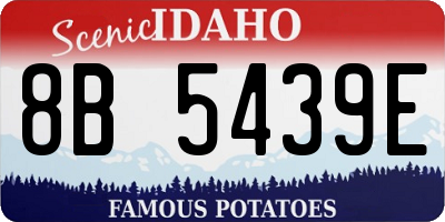 ID license plate 8B5439E