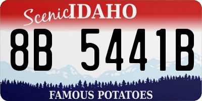 ID license plate 8B5441B