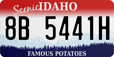 ID license plate 8B5441H