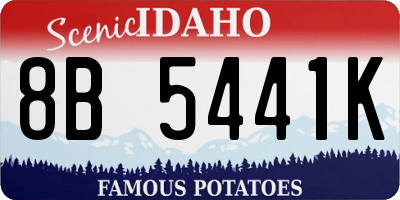 ID license plate 8B5441K