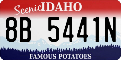 ID license plate 8B5441N