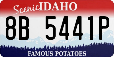 ID license plate 8B5441P