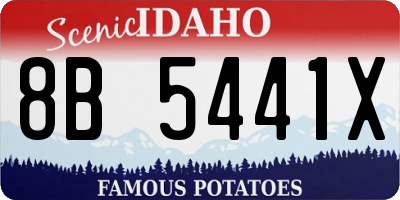 ID license plate 8B5441X