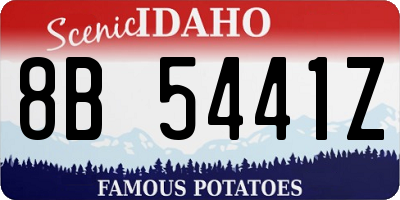 ID license plate 8B5441Z
