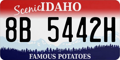 ID license plate 8B5442H
