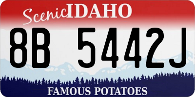 ID license plate 8B5442J