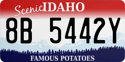 ID license plate 8B5442Y