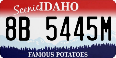 ID license plate 8B5445M