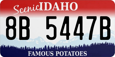 ID license plate 8B5447B
