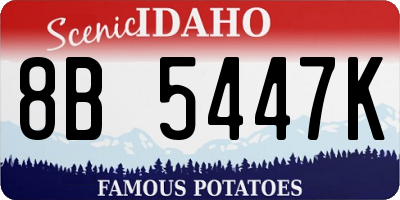 ID license plate 8B5447K