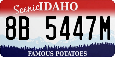 ID license plate 8B5447M