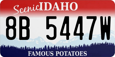 ID license plate 8B5447W