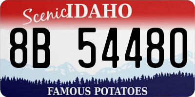 ID license plate 8B5448O