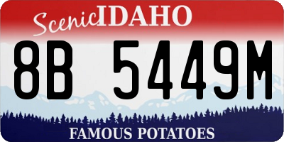 ID license plate 8B5449M