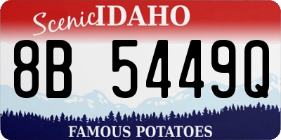 ID license plate 8B5449Q