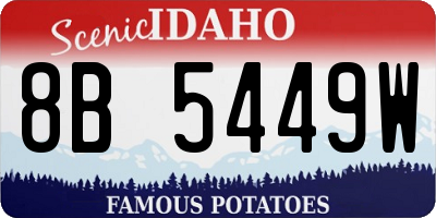 ID license plate 8B5449W