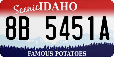 ID license plate 8B5451A