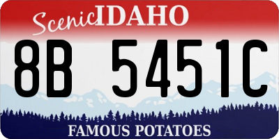 ID license plate 8B5451C