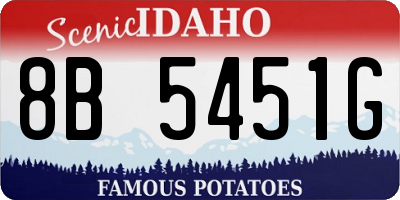 ID license plate 8B5451G