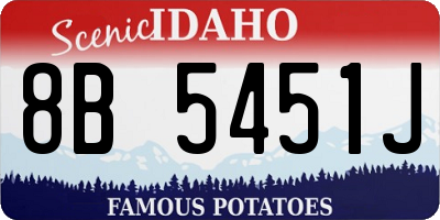 ID license plate 8B5451J